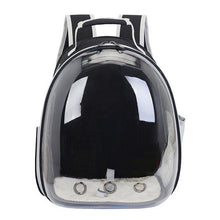 Load image into Gallery viewer, Travel cat double shoulder bag breathable transparent portable space pet backpack small dog pet travel carrier handbag
